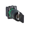 XB5AG33 SCHNEİDER BUTON