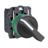 XB5AJ21 SCHNEİDER BUTON