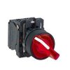 XB5AK124B5 SCHNEİDER BUTON